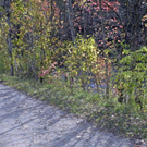 _DSC00150007.JPG
