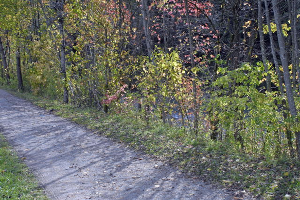 _DSC00150007.JPG