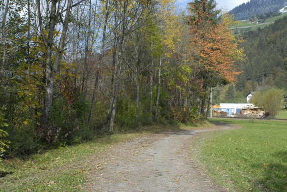 _DSC00190008.JPG
