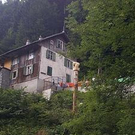 374498.jpg