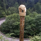 374499.jpg