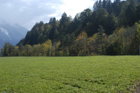 _DSC00330013.JPG