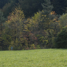 _DSC00410014.JPG