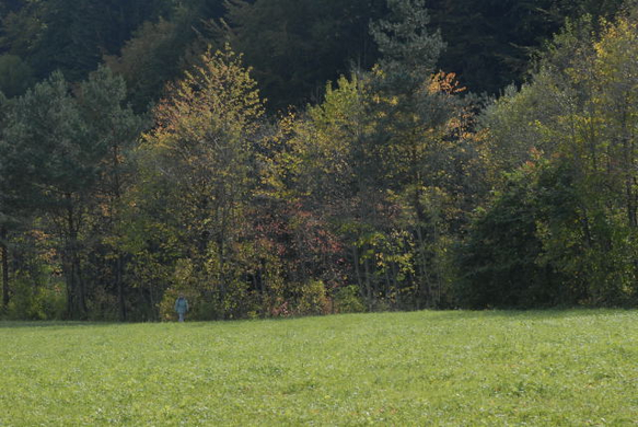 _DSC00410014.JPG