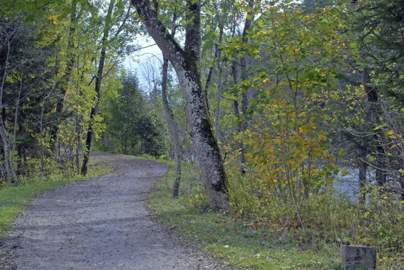 _DSC00510003_1.JPG
