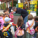 Kindergarten Fraxern beim Mosten