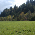 _DSC00330013.JPG