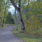 _DSC00510003_1.JPG