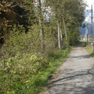 _DSC00950019.JPG