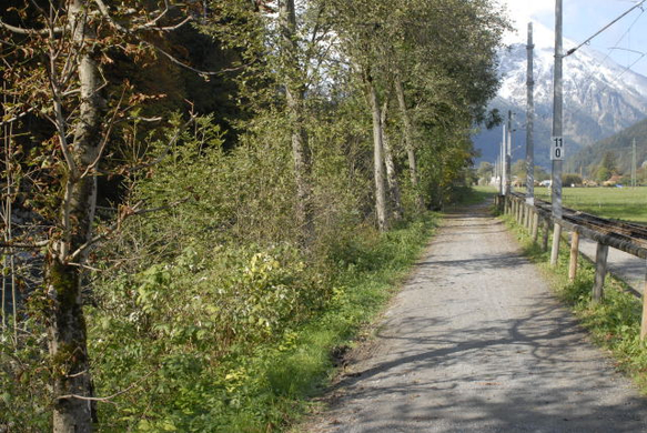 _DSC00950019.JPG