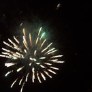 392021.jpg
