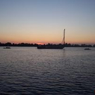 392048.jpg