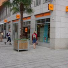 393472.jpg