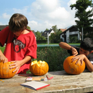 BK_21Sept09 K__rbisse 1c 007.jpg