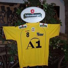 A1 Bregenz Handball