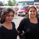 403037.jpg