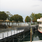 IMG_9266.JPG