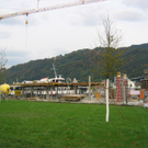 IMG_9250.JPG
