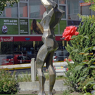 _DSC01000001.JPG