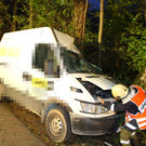 Transporter gegen Baum