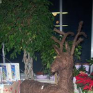 449410.jpg