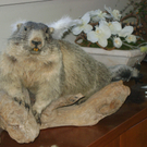DSC00304.JPG