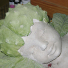 DSC00313.JPG