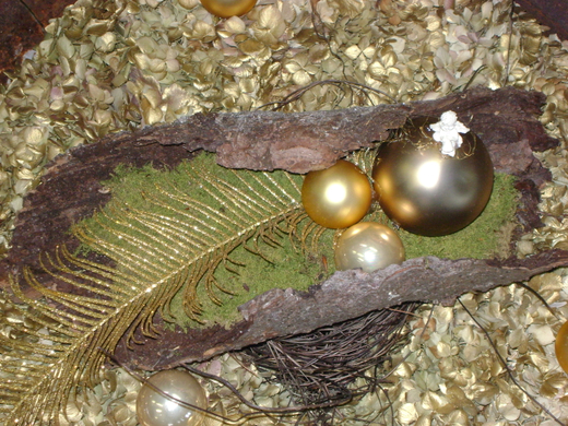 DSC00314.JPG