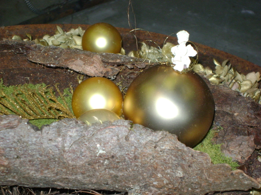 DSC00315.JPG