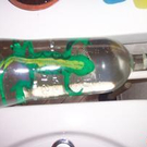 459441.jpg