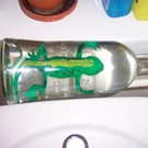 459442.jpg