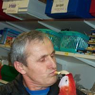 470887.jpg