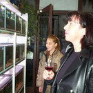 470950.jpg
