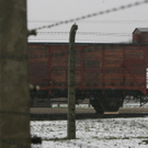 Bilder des Konzentrationslagers Auschwitz-Birkenau