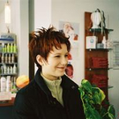 494504.jpg