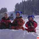 498674.jpg