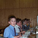 503827.jpg