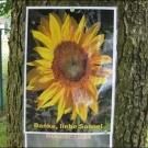 BK_Sonnenfest _19_.jpg