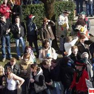 508481.jpg