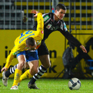 export__6_von_35_.jpg