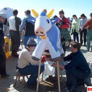 521575.jpg
