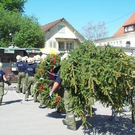 547501.jpg