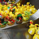 1. BLACK RIVER DUCKRACE