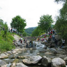 557905.jpg