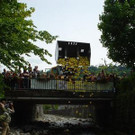 557906.jpg