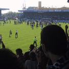 568018.jpg