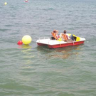 588545.jpg