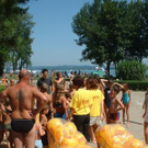 602746.jpg