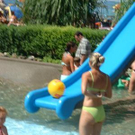 602781.jpg