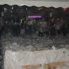 625105.jpg
